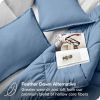 Twin / Twin XL 2-Piece Down Alternative Comforter Set in Blue