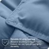 Twin / Twin XL 2-Piece Down Alternative Comforter Set in Blue